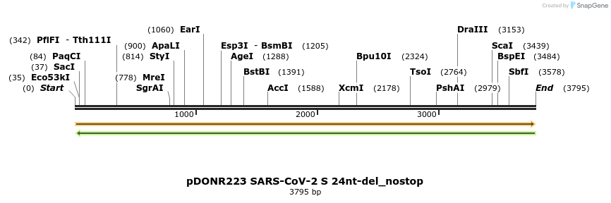 297691_map