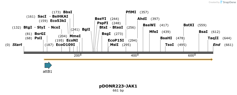 29770_map