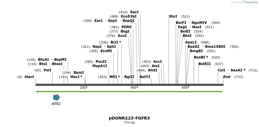 29771_map