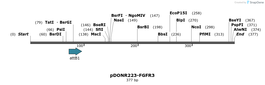 29772_map