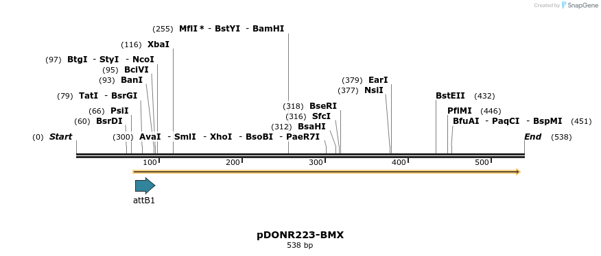 29775_map