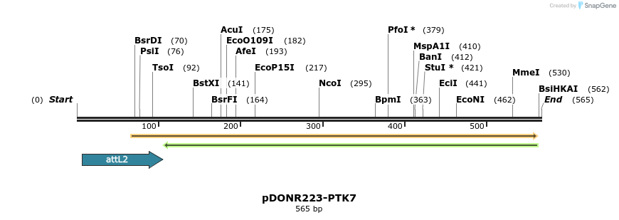 29782_map