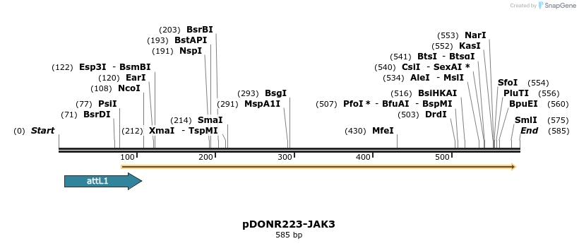 29783_map