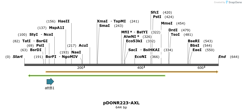 29784_map