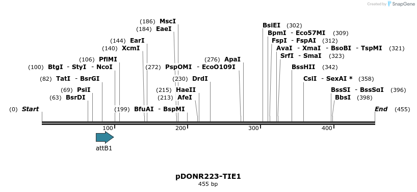 29785_map