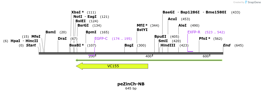 29787_map
