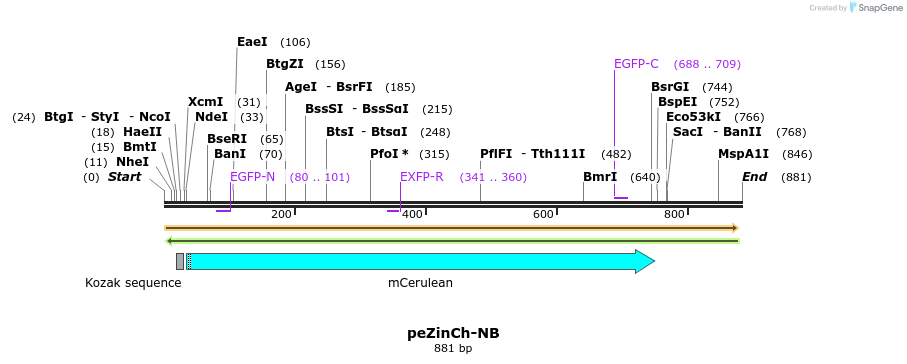 29788_map