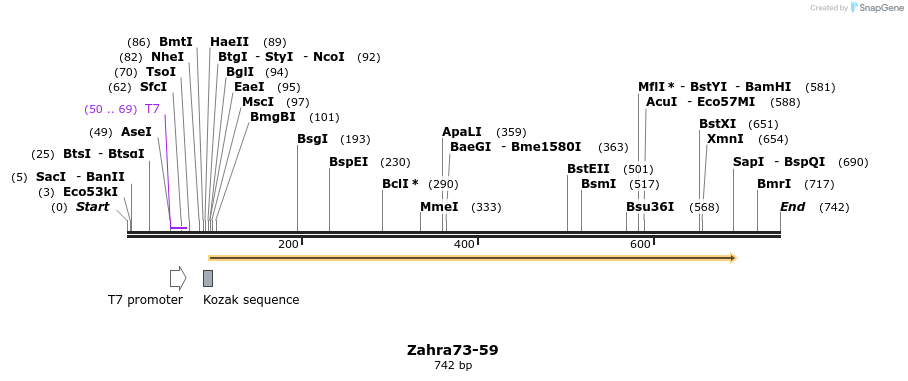 29796_map