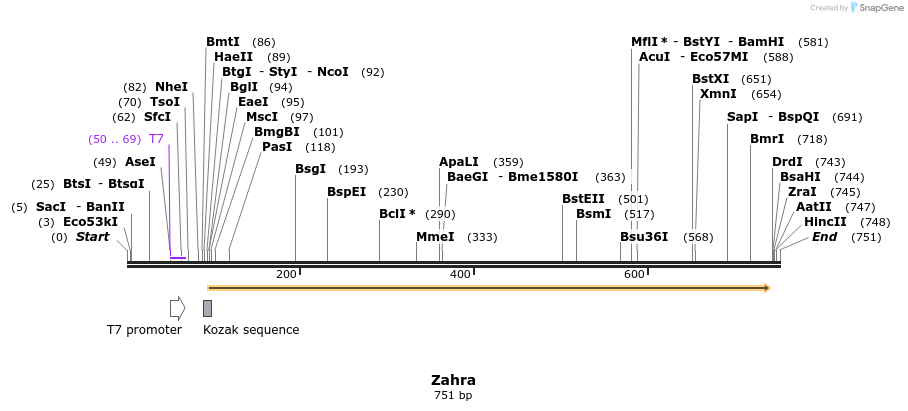 29797_map