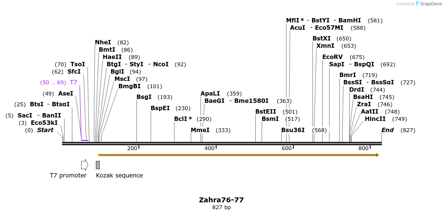 29798_map