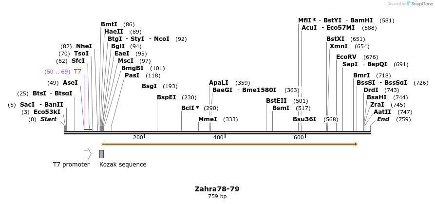 29799_map
