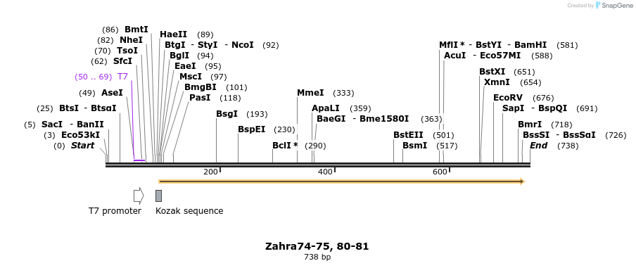29800_map