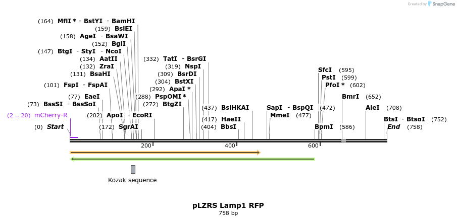 29802_map