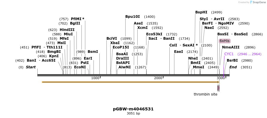 298049_map
