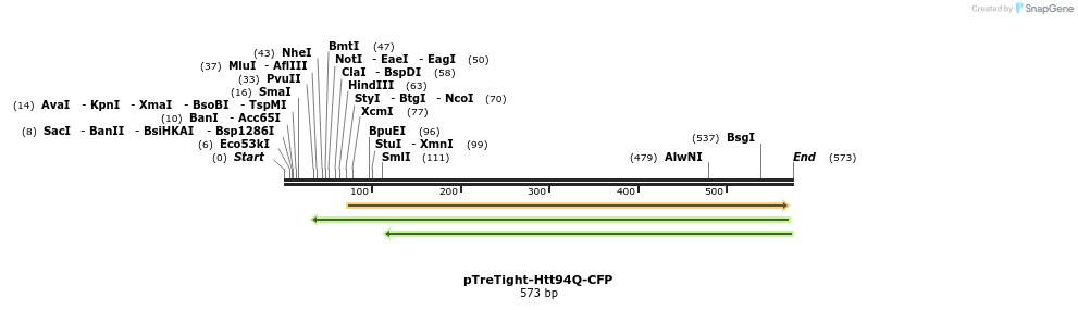 29805_map