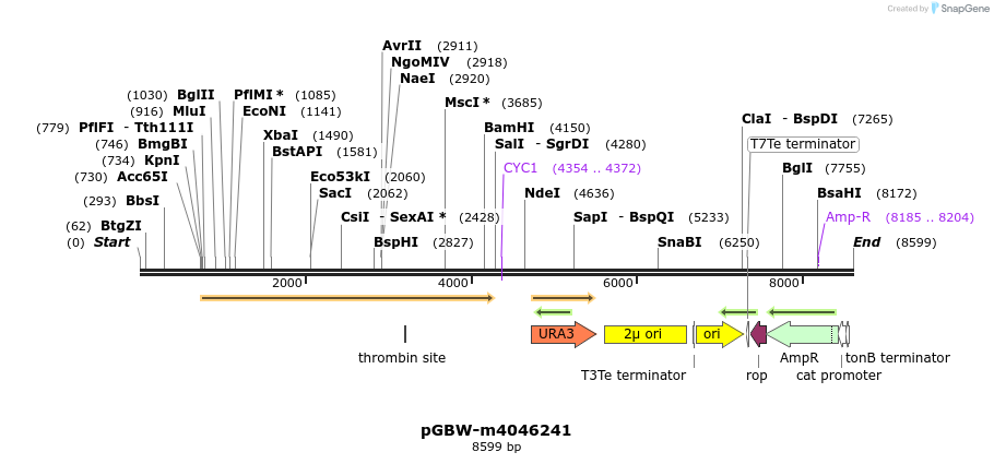 298053_map