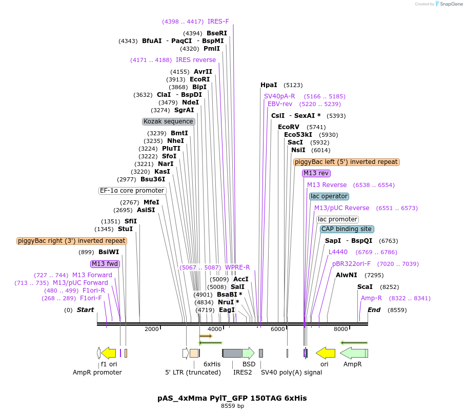 298063_map