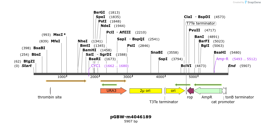 298071_map