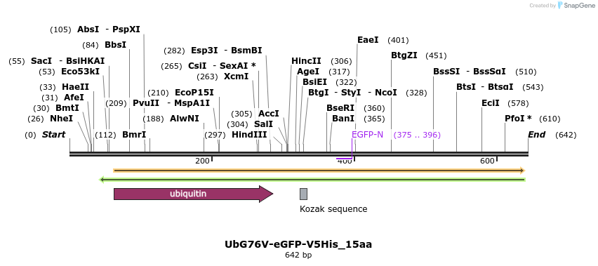 29809_map