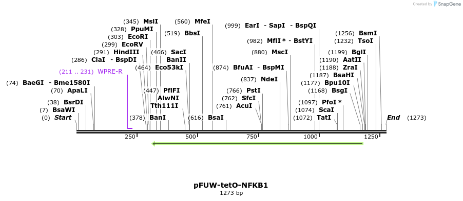 298098_map