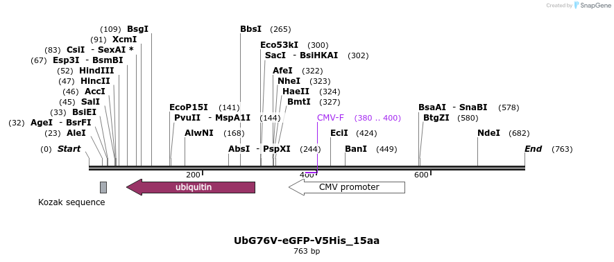 29810_map