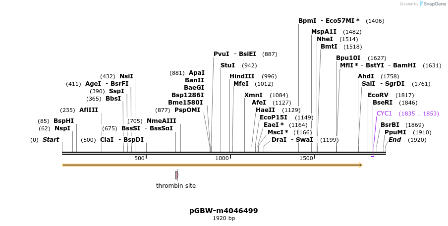 298112_map
