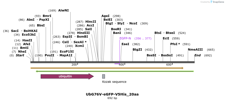 29812_map