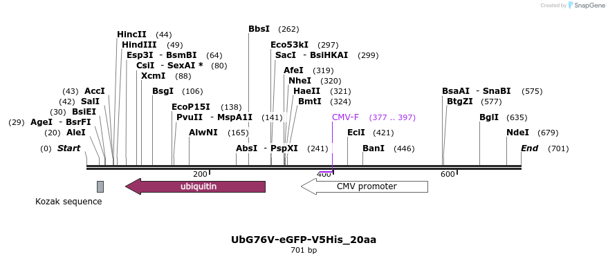 29813_map