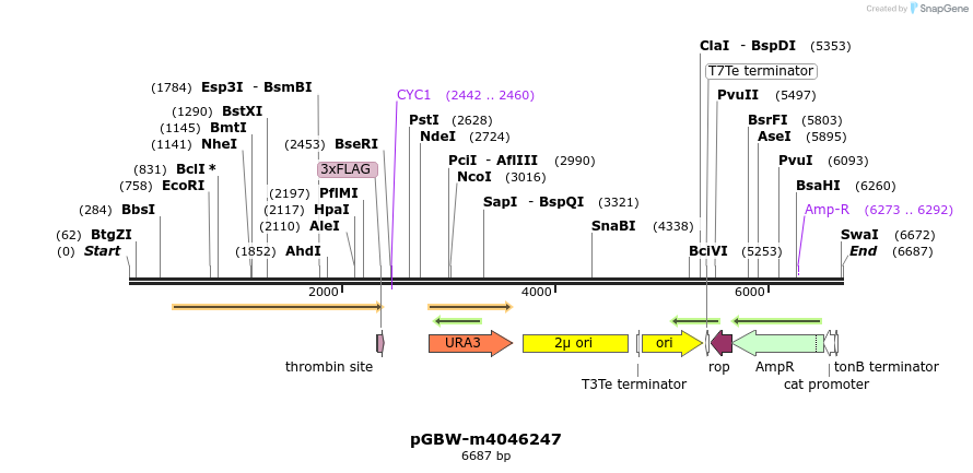 298145_map