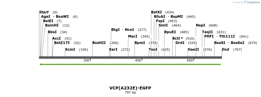 29816_map