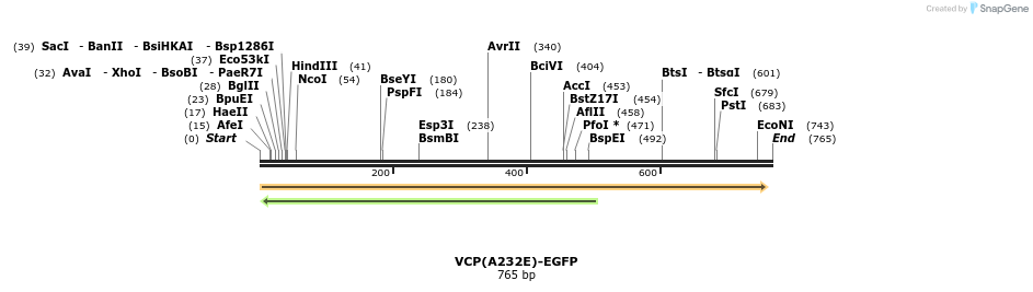 29817_map