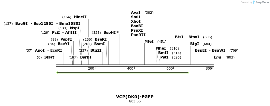 29818_map