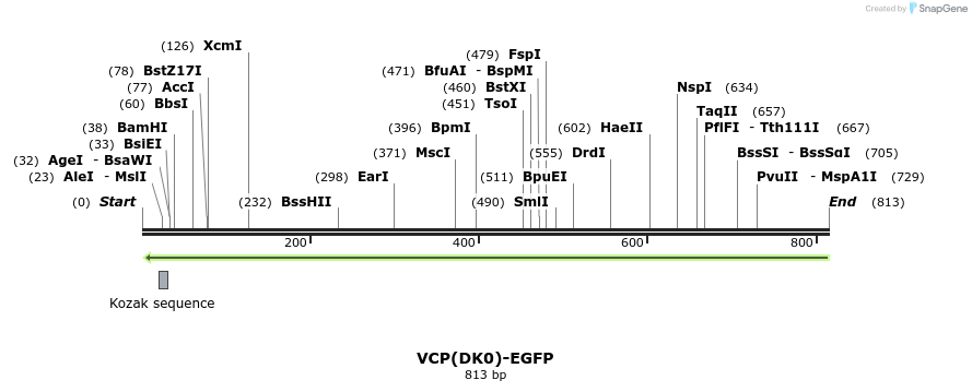 29819_map