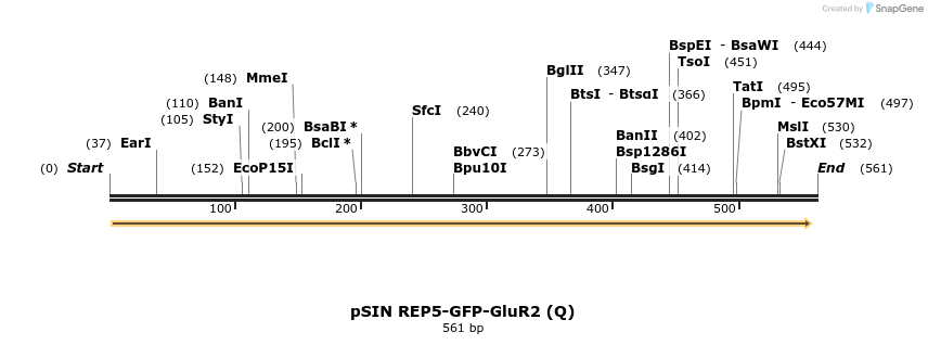 29822_map