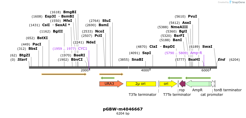 298222_map
