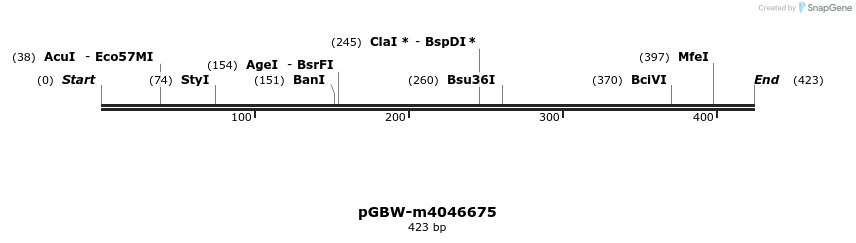 298265_map