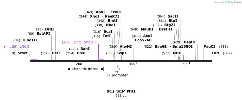29829_map