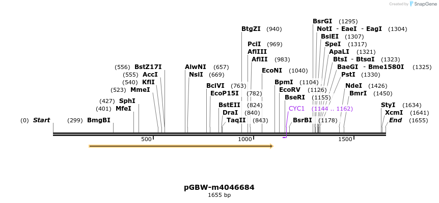 298299_map