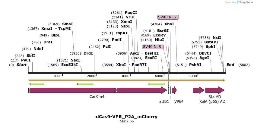 298302_map