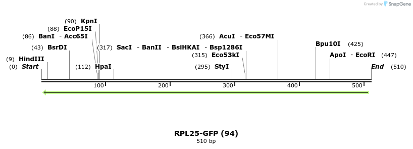 29832_map