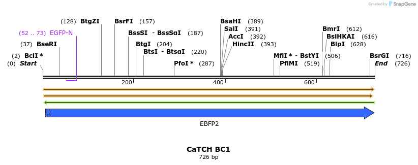 298320_map