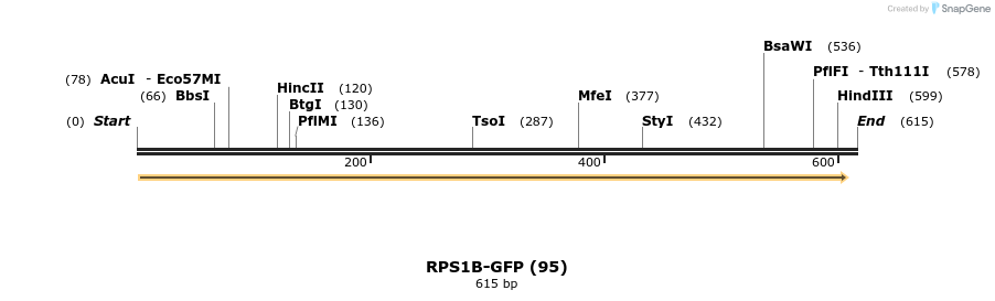 29834_map