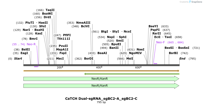 298342_map