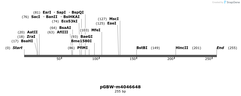 298378_map