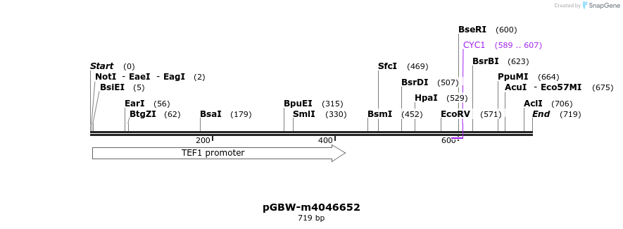 298388_map