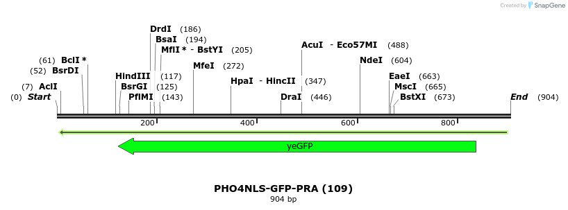 29841_map