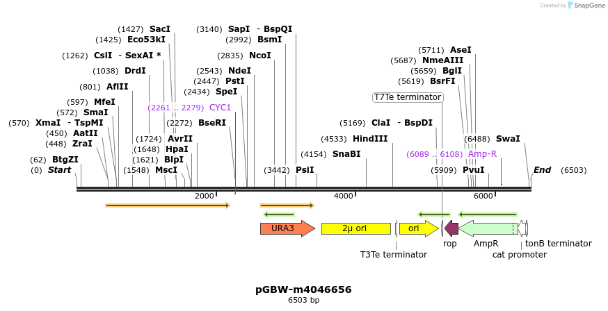 298430_map
