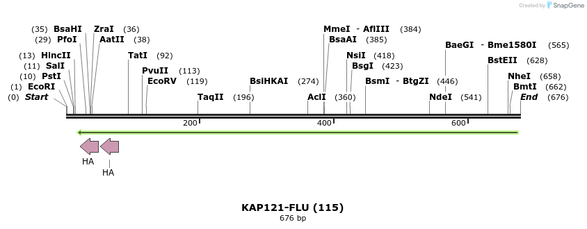 29847_map