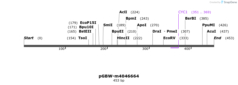 298485_map