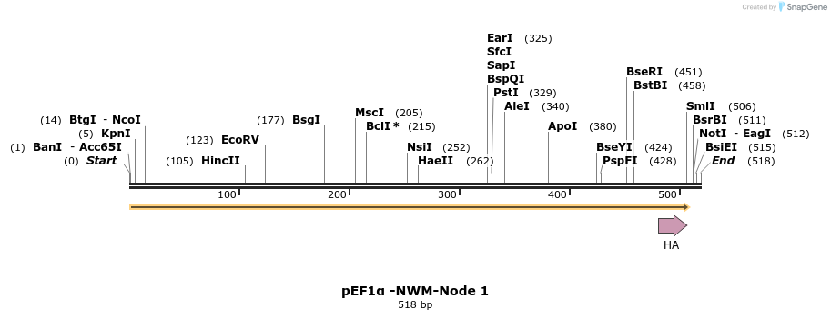 298494_map